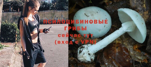 гашишное масло Гусев