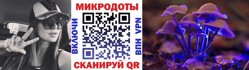 MEGA ONION  Старица  Галлюциногенные грибы Magic Shrooms 