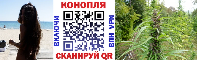 Шишки марихуана конопля  Старица 